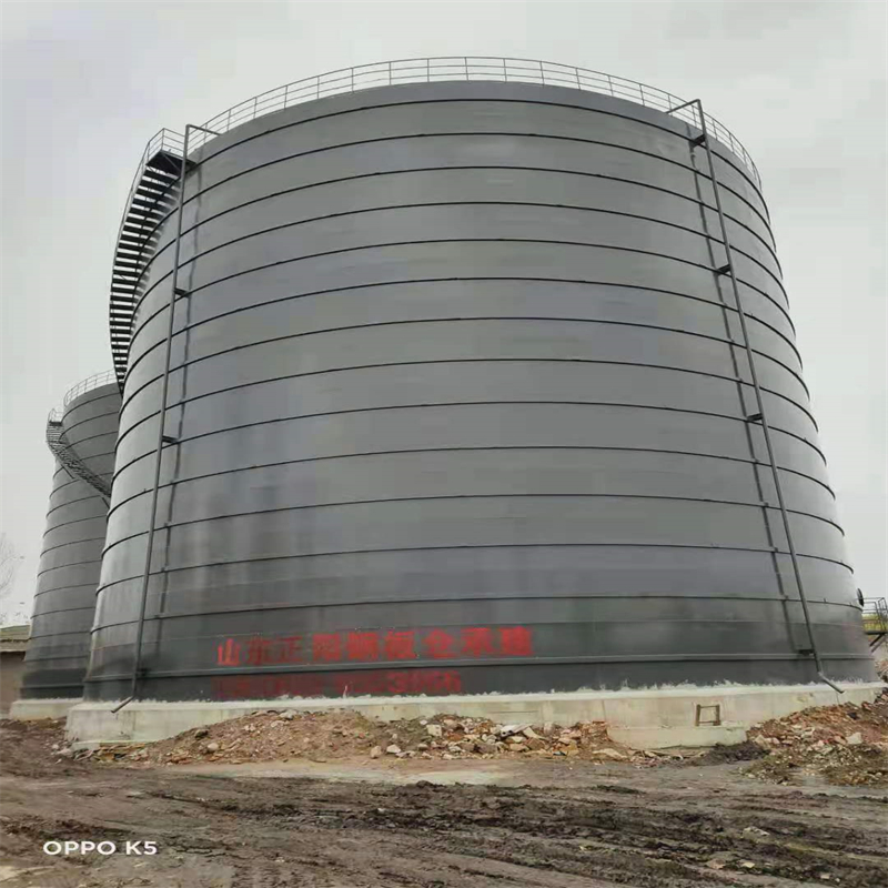 龙马潭3万吨大型钢板库