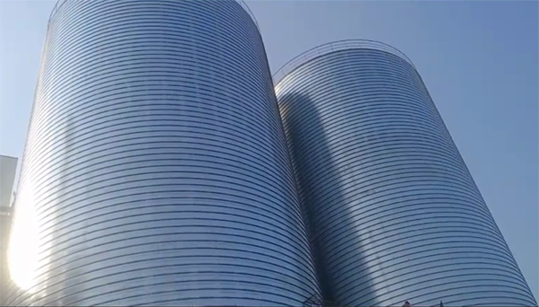 龙马潭2座混凝土高架卷板仓